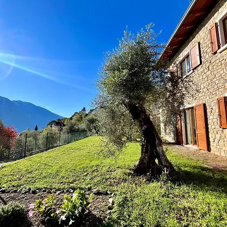 Apartamento Casa L'olivér